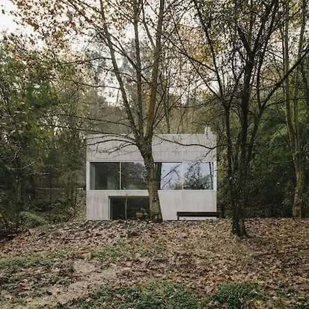 ホテル Casa Do Ribeiro De Cando